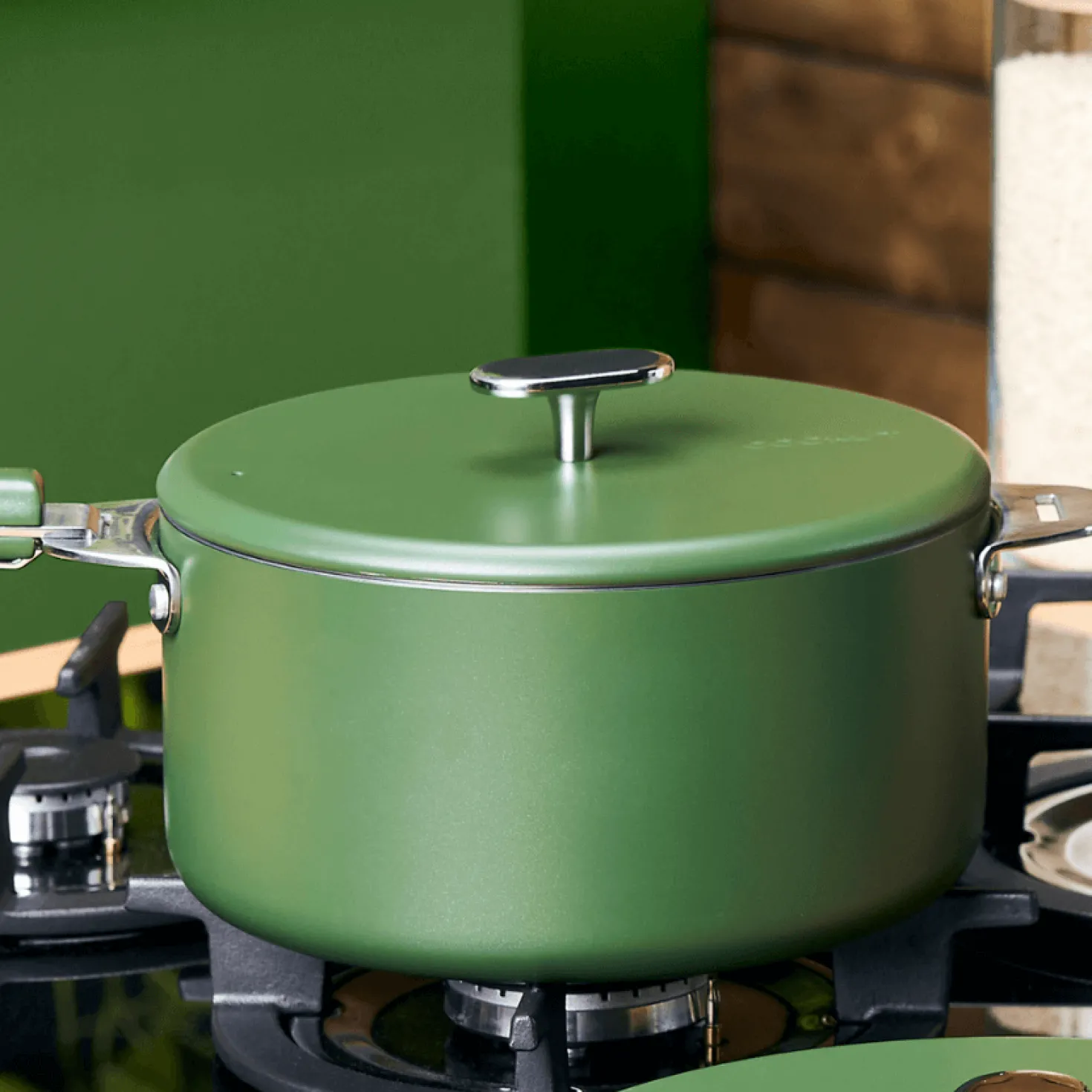 Couvercle inox Le Merveilleux 20 cm fougère - Cookut
